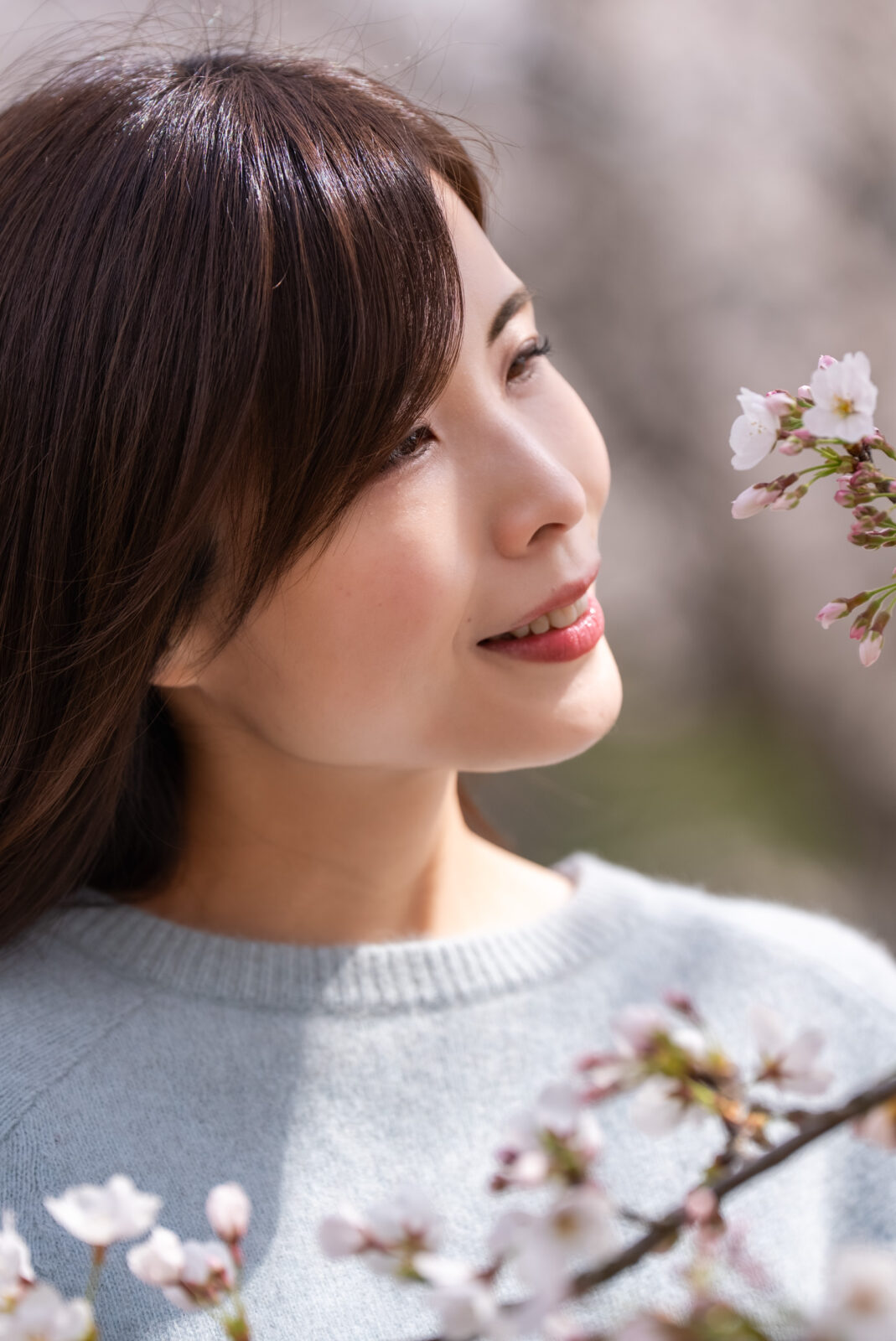 AI 桜