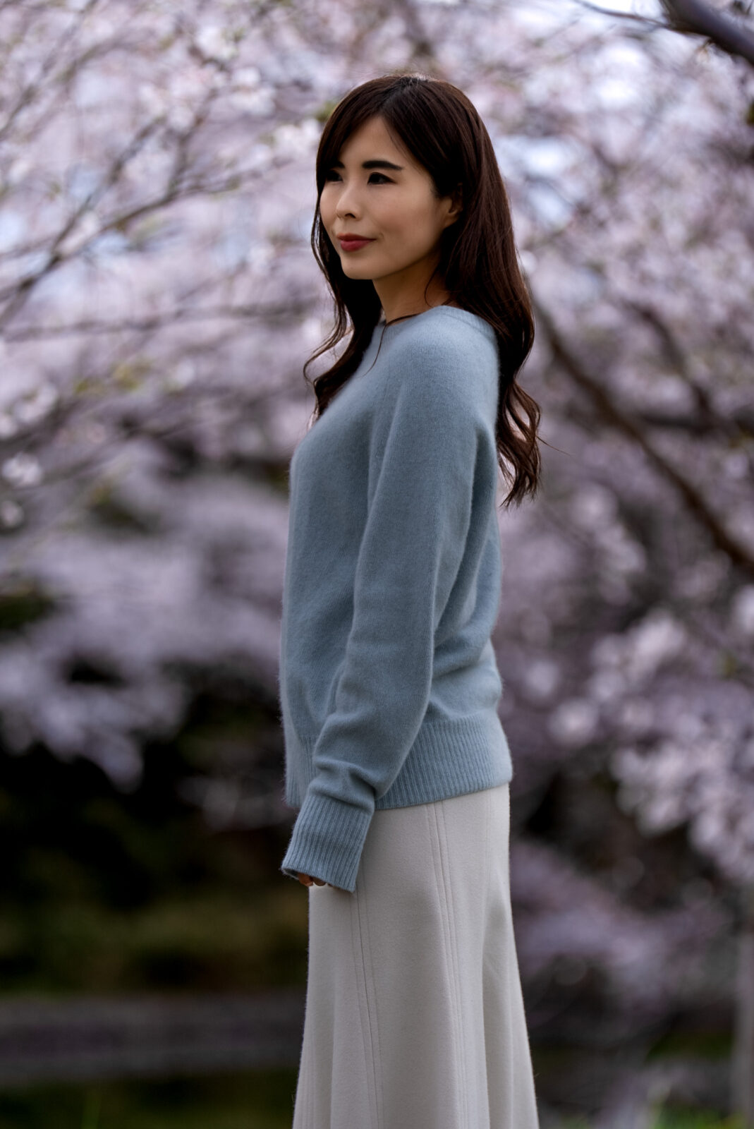 AI 桜