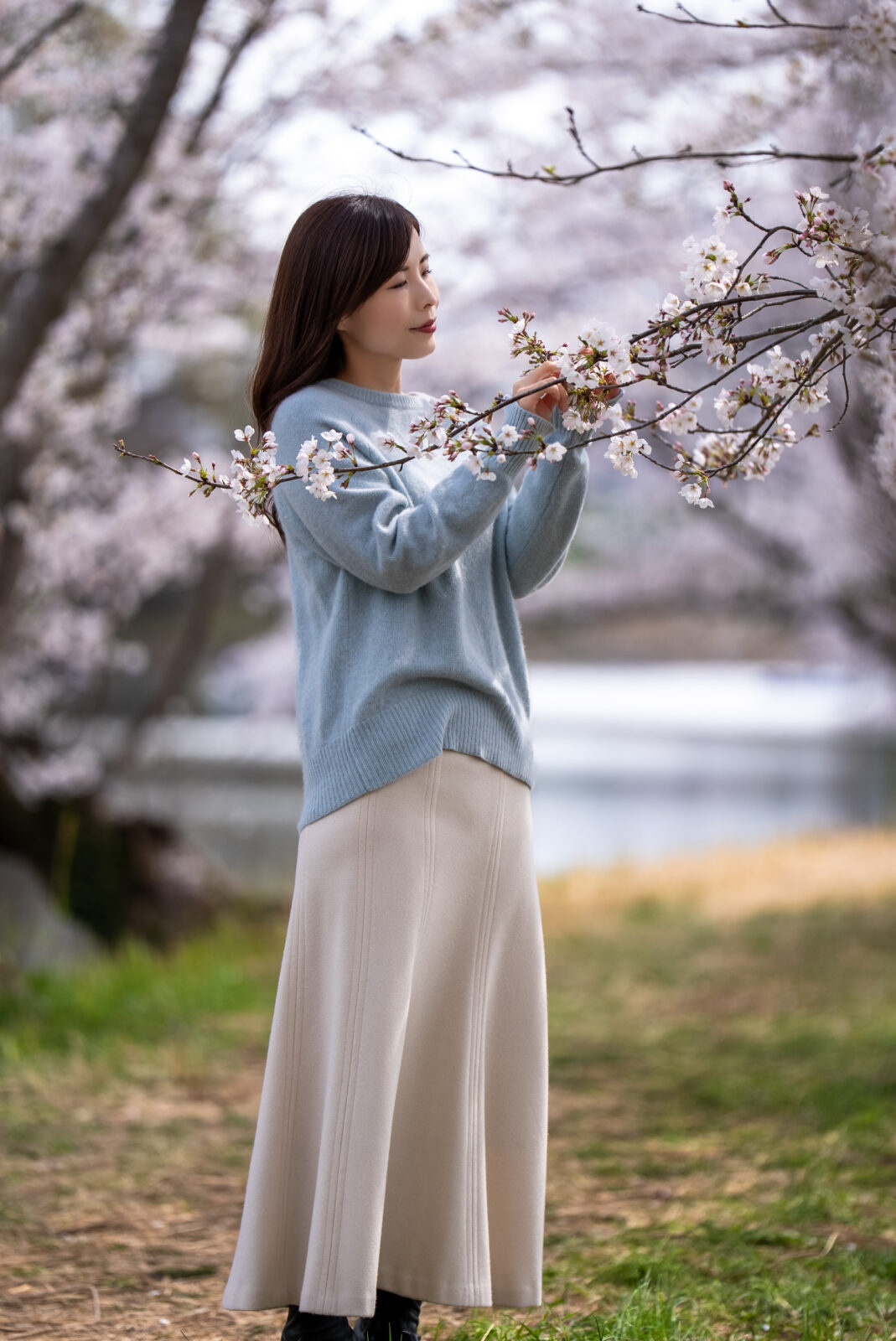 AI 桜