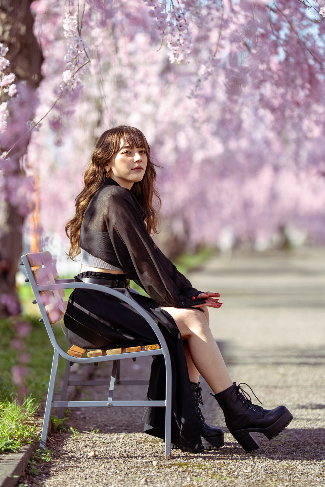 しょこ日中線桜